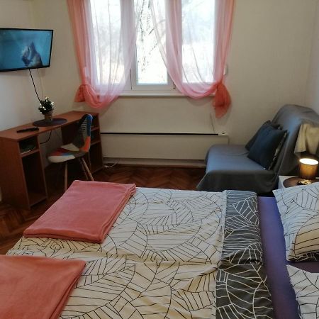 Apartman Gobac カルロヴァッツ エクステリア 写真