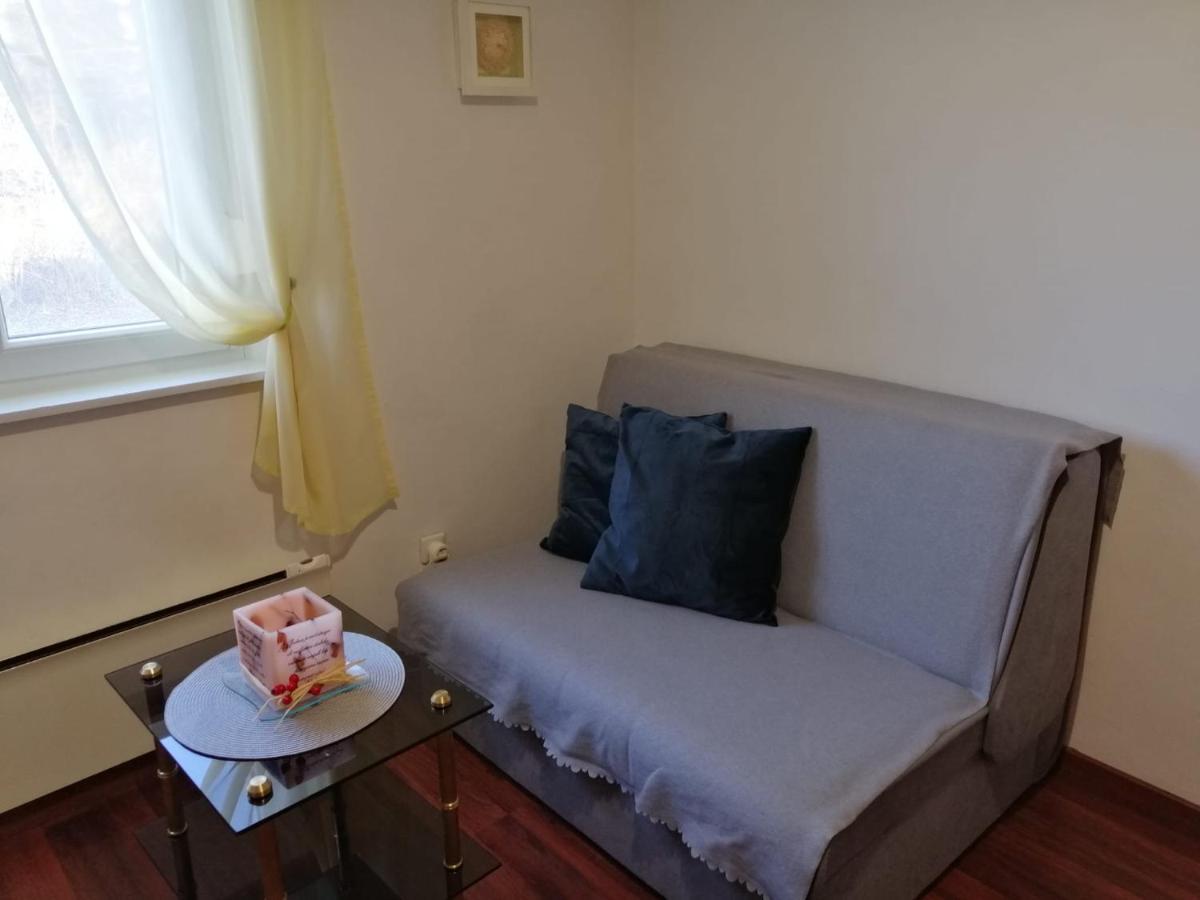 Apartman Gobac カルロヴァッツ エクステリア 写真